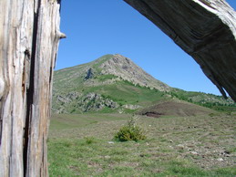 La vetta della cima Bertrand incorniciata da un arco di tronchi il 30 giugno 2005