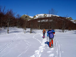Verso il Maggiorasca con tanta neve, cielo limpidissimo e temperatura mite.
