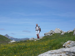 Bellissima fioritura al Passo del Prione. Sullo sfondo il Pizzo d'Ormea