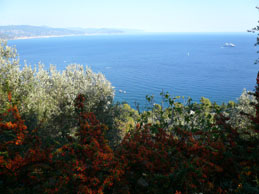 Ormai  la nostra traversata sta per terminare. Ancora un'immagine del mare azzurro e della fioritura di minuscole bacche rosse.