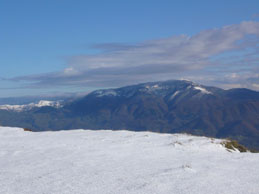 Il monte Gottero. A sinistra si intravvedono le quattro pale eoliche al passo della Cappelletta