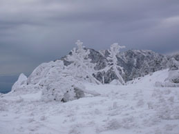 Il monte Rama da Pian di Lerca - 30 dicembre 2008