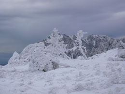 Ancora un'immagine del massiccio del Rama da Pian di Lerca - 30 dicembre 2008